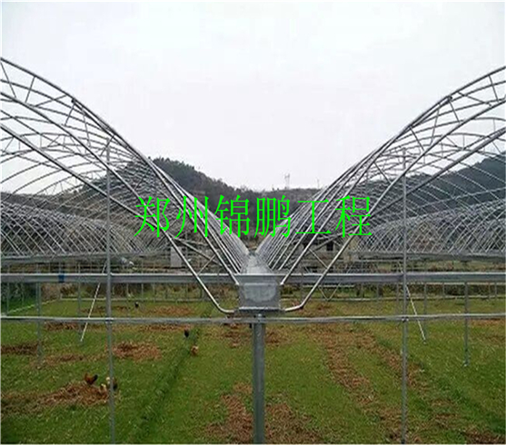 連棟簡(jiǎn)易溫室